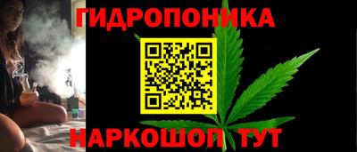 гашик Пыть-Ях